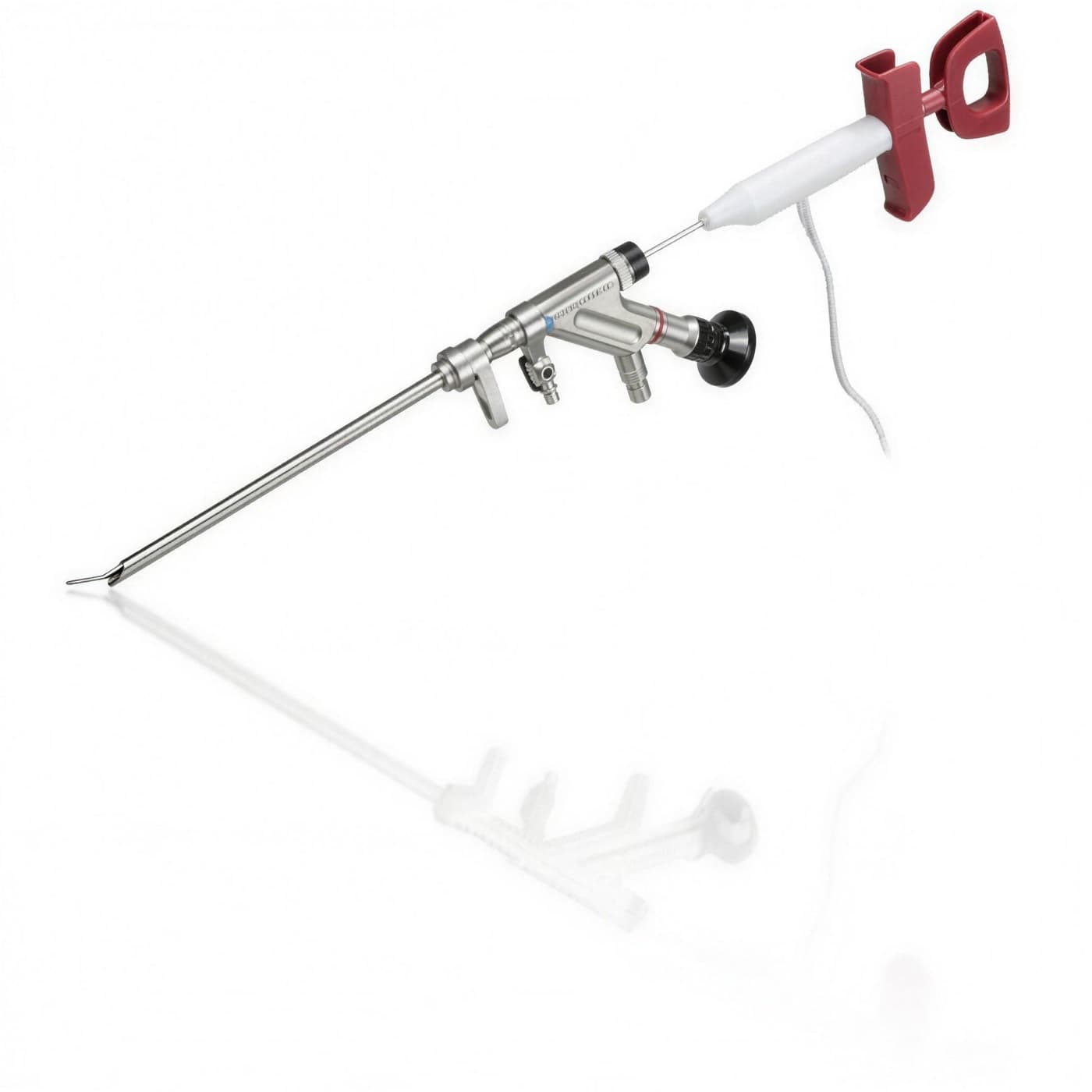 VERTEBRIS denervation